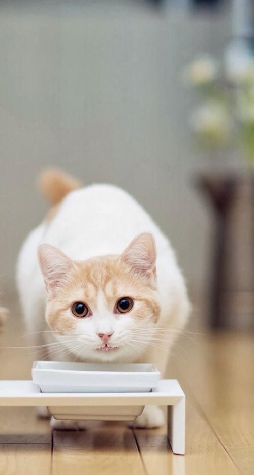 鲿1.97ԪοѵԱϵԱϸɲ