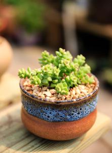 һܲƾ:ծȯͨƿɴ йڿһ